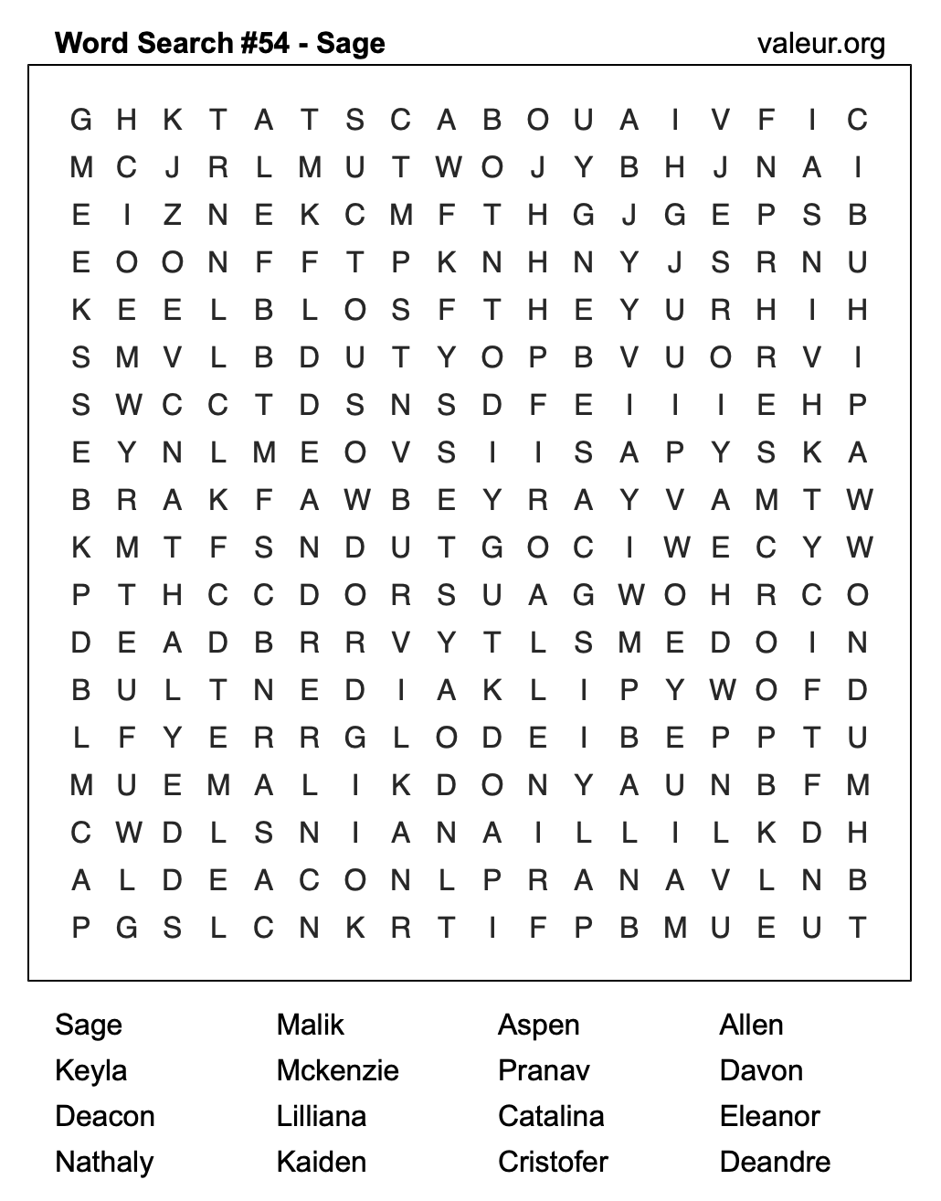 Word Search Puzzle with the name Sage #54 Word Search Puzzle with the name Sage #54