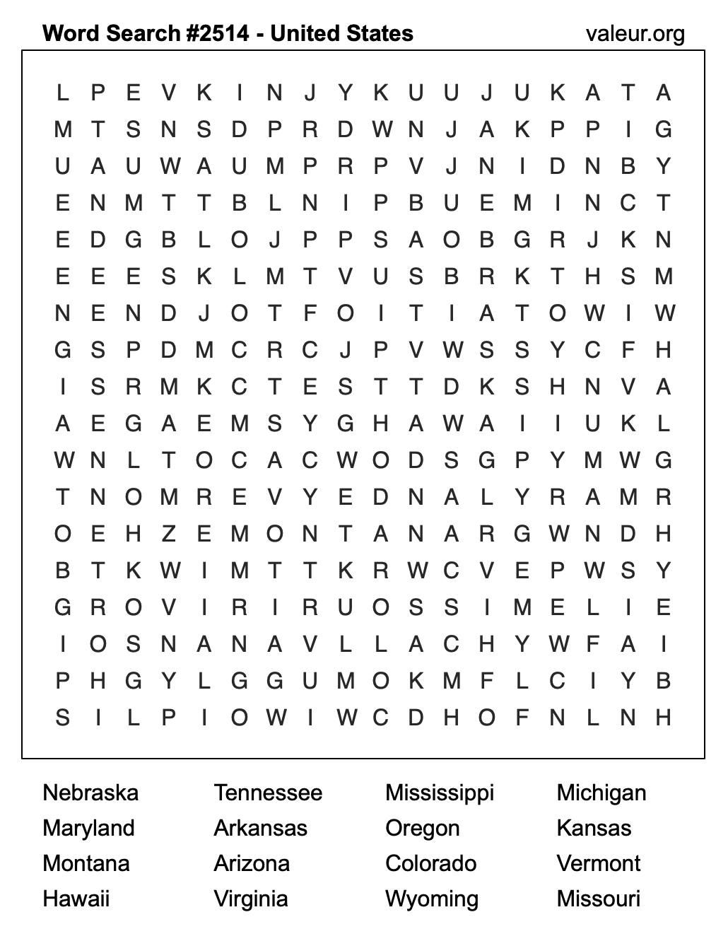 United States Word Search Puzzle #2514