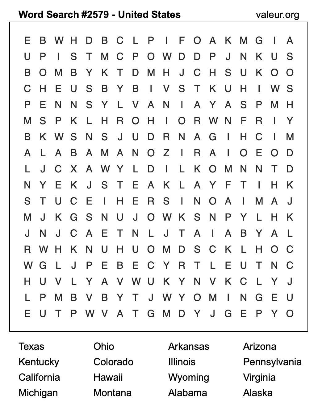 United States Word Search Puzzle #2579