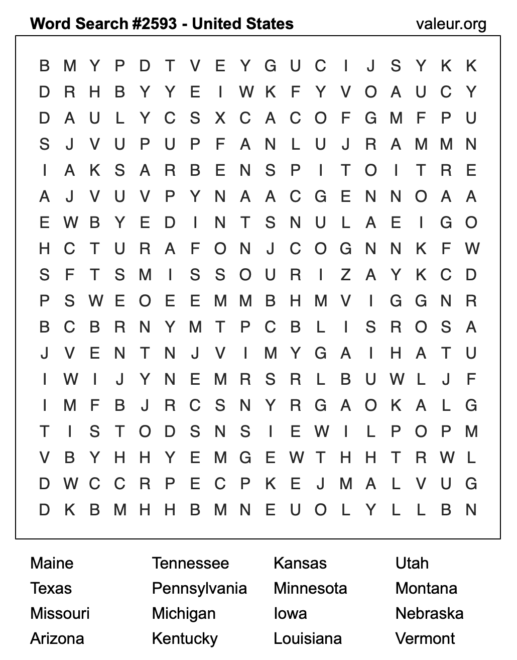 United States Word Search Puzzle #2593