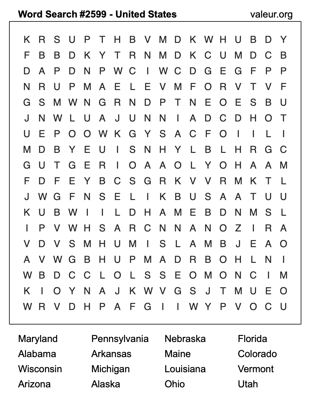 United States Word Search Puzzle #2599