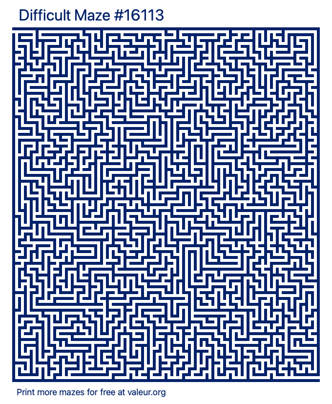 Free Printable Difficult Maze number 16113