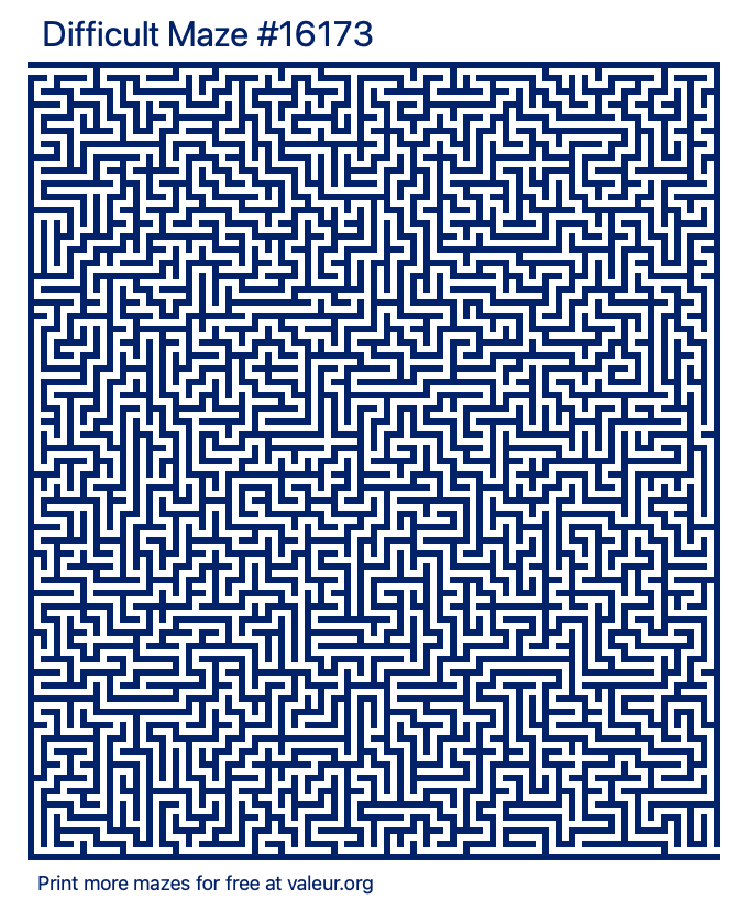 Free Printable Difficult Maze number 16173