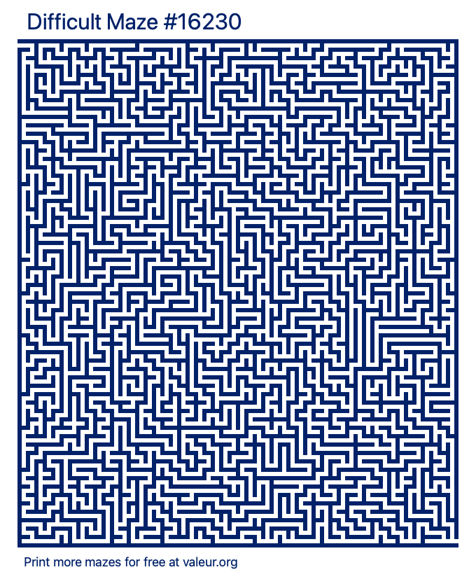 Free Printable Difficult Maze number 16230