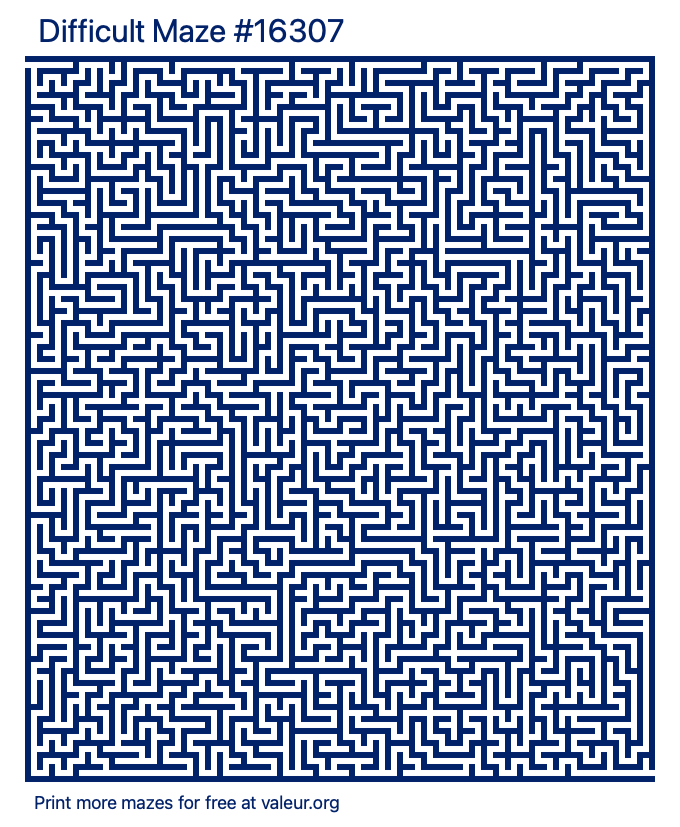 Free Printable Difficult Maze number 16307