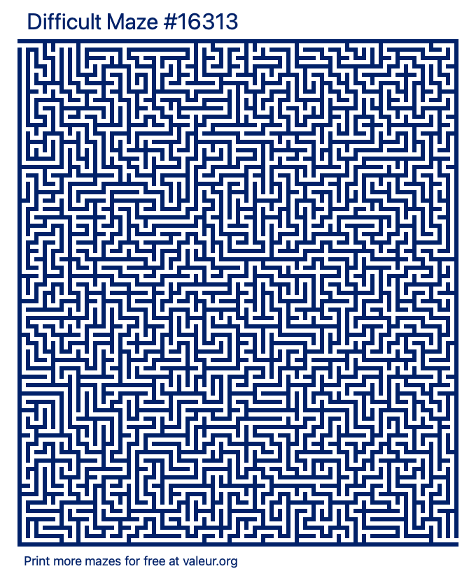Free Printable Difficult Maze number 16313