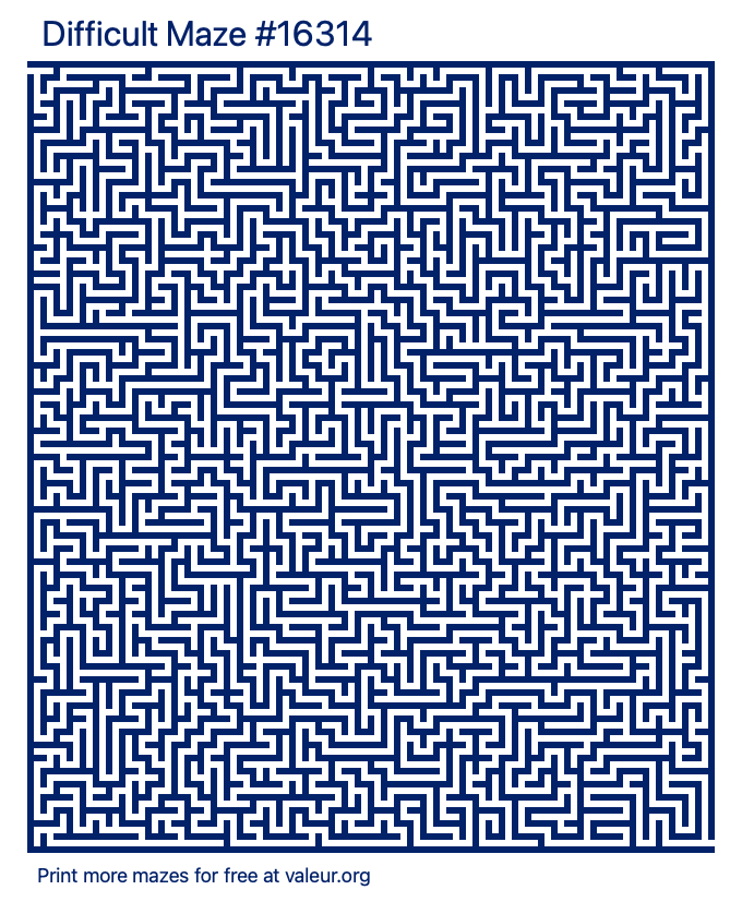 Free Printable Difficult Maze number 16314