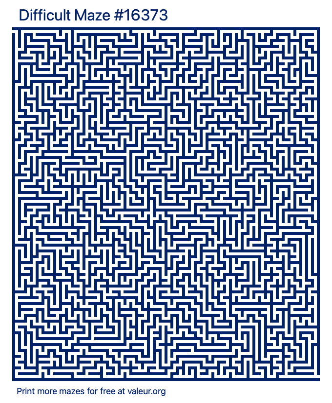 Free Printable Difficult Maze number 16373