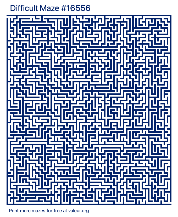 Free Printable Difficult Maze number 16556