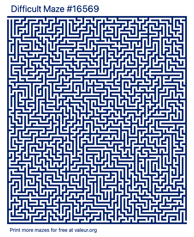 Free Printable Difficult Maze number 16569
