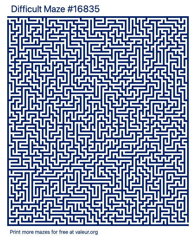 Free Printable Difficult Maze number 16835