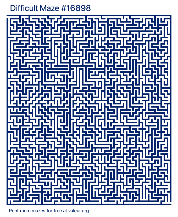 Free Printable Difficult Maze number 16898