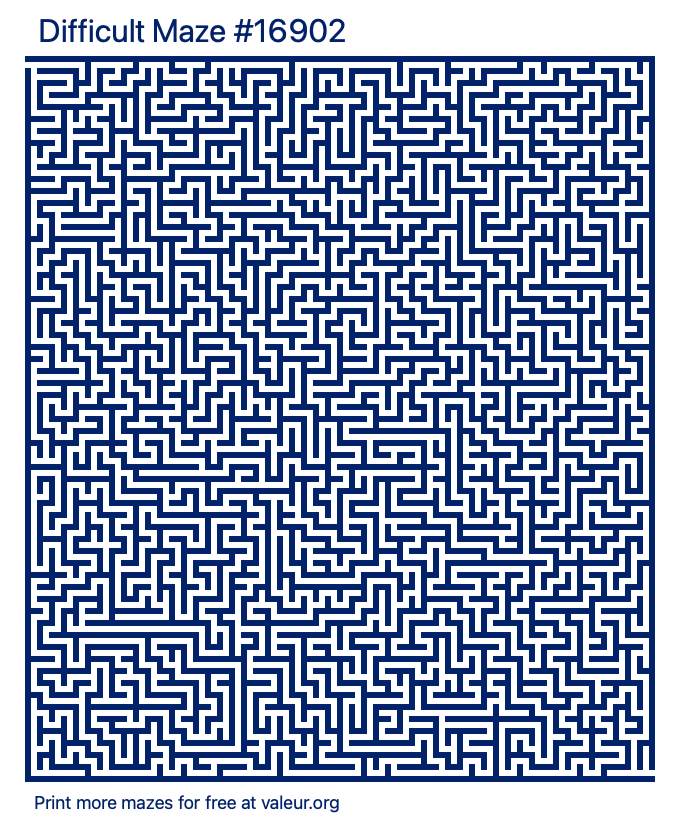 Free Printable Difficult Maze number 16902