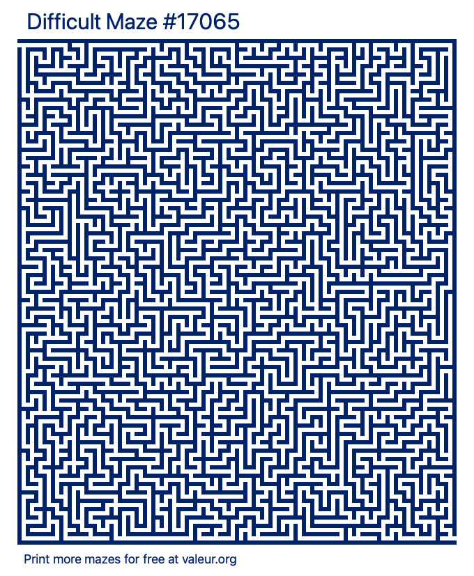 Free Printable Difficult Maze number 17065