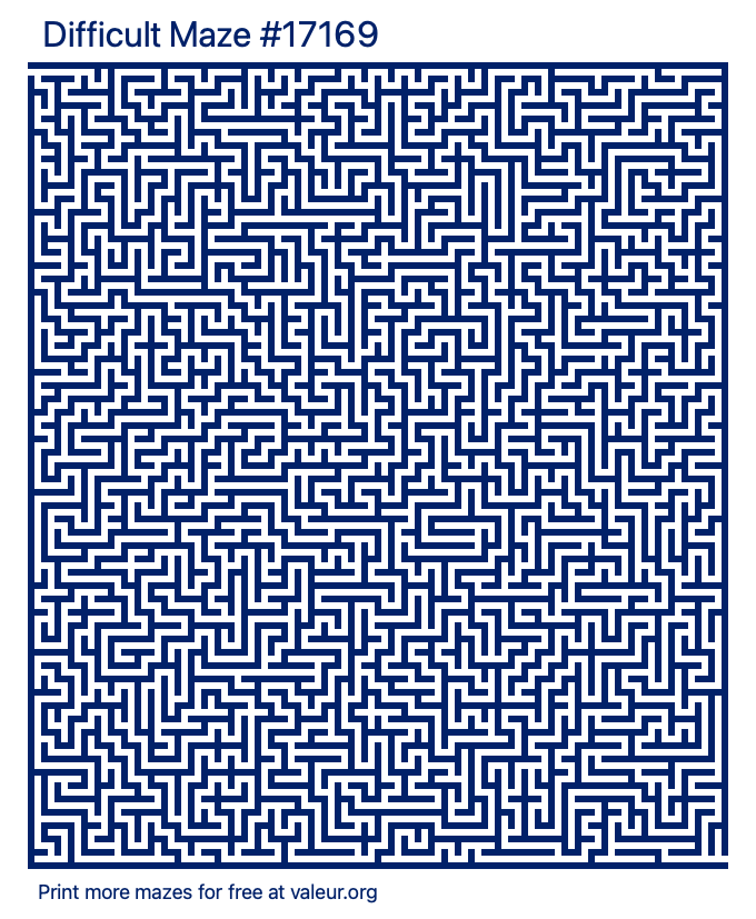 Free Printable Difficult Maze number 17169