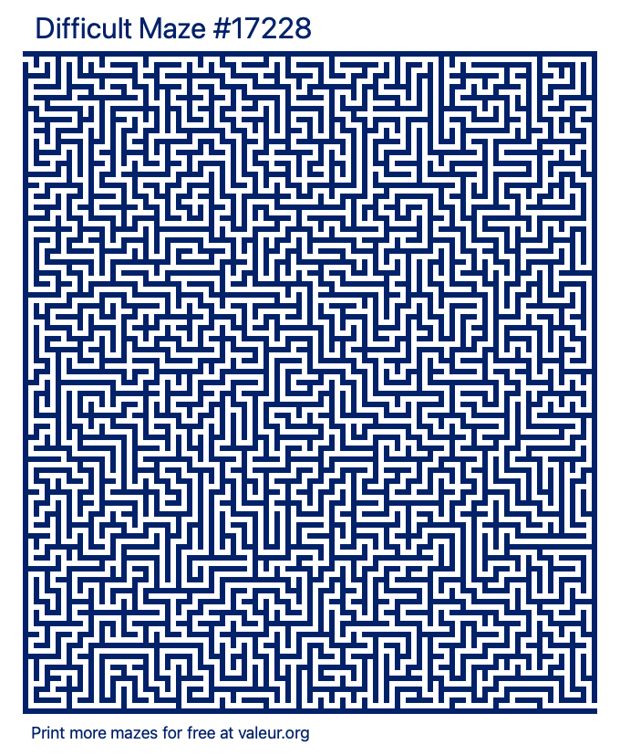 Free Printable Difficult Maze number 17228