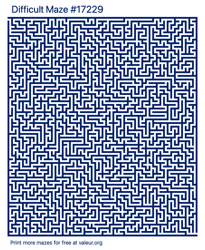 Free Printable Difficult Maze number 17229