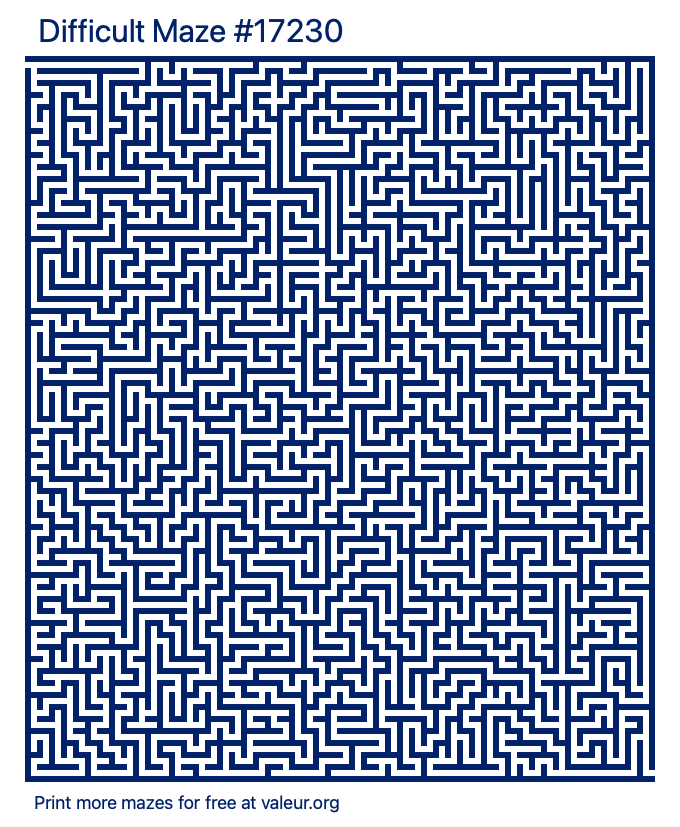 Free Printable Difficult Maze number 17230