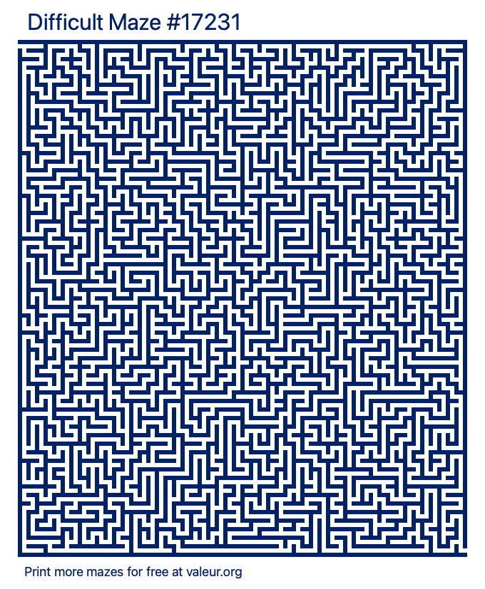 Free Printable Difficult Maze number 17231