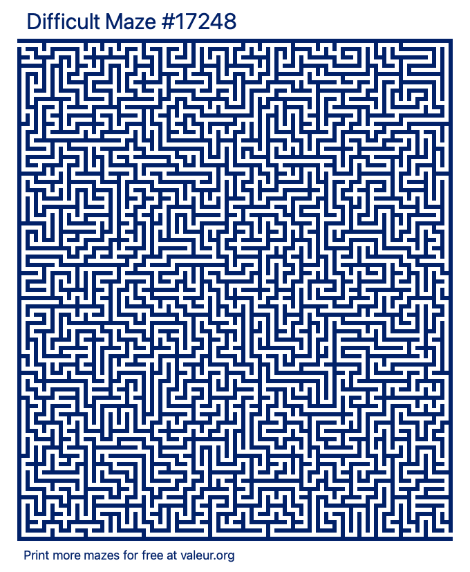 Free Printable Difficult Maze number 17248