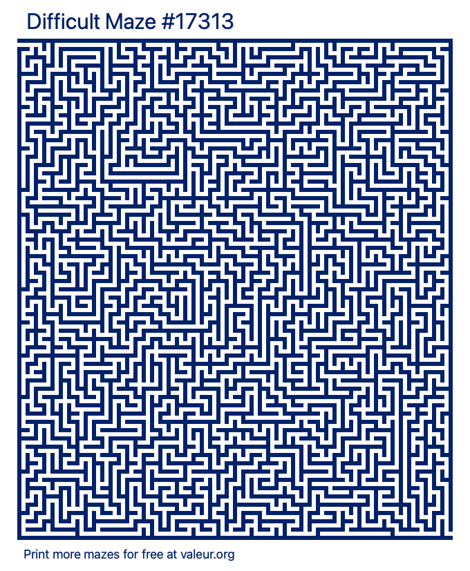 Free Printable Difficult Maze number 17313