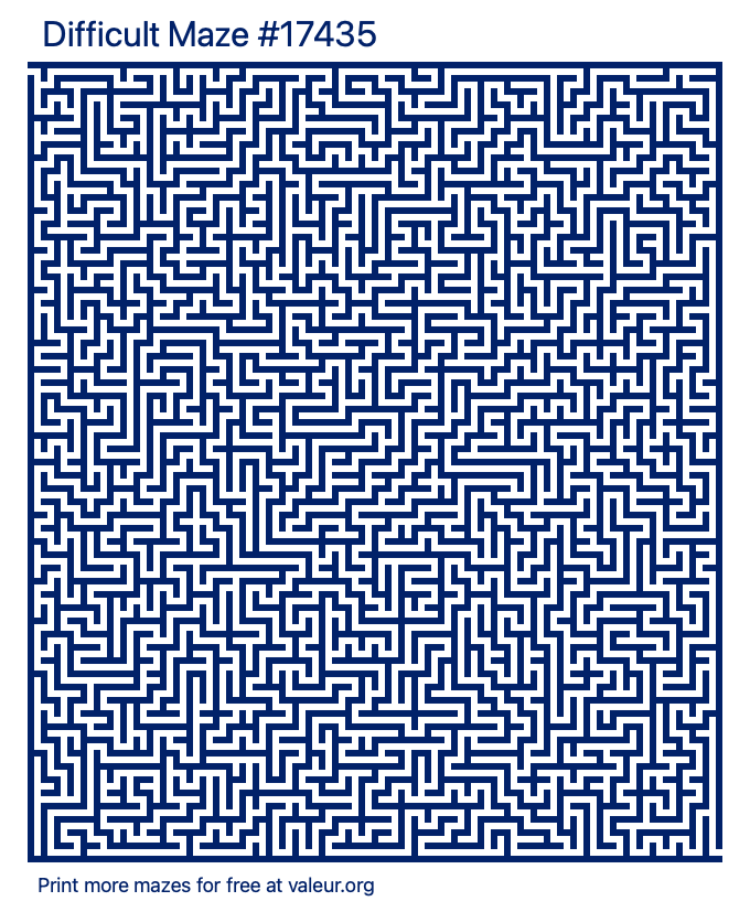 Free Printable Difficult Maze number 17435