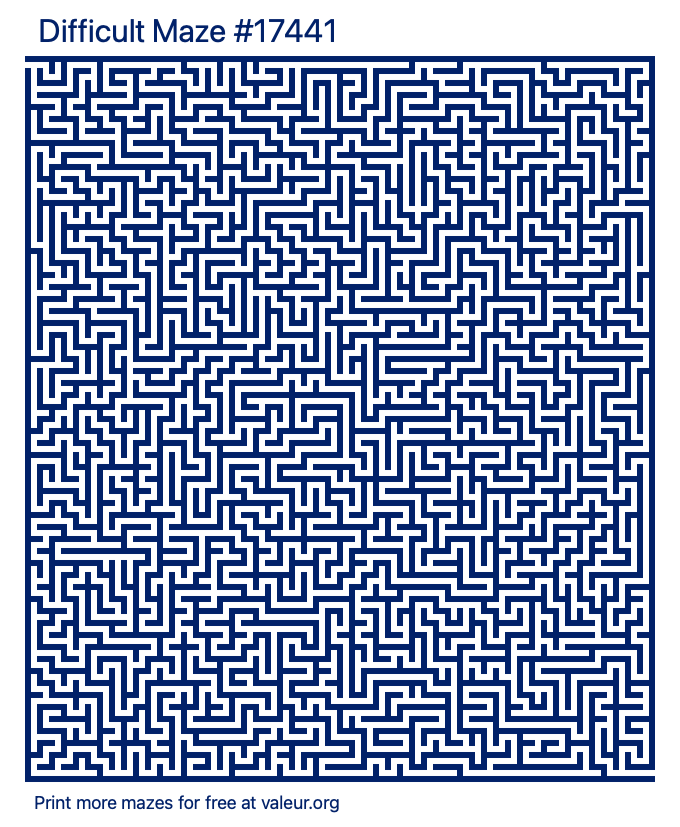 Free Printable Difficult Maze number 17441