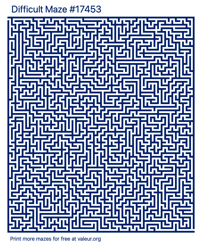Free Printable Difficult Maze number 17453