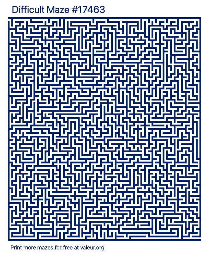 Free Printable Difficult Maze number 17463