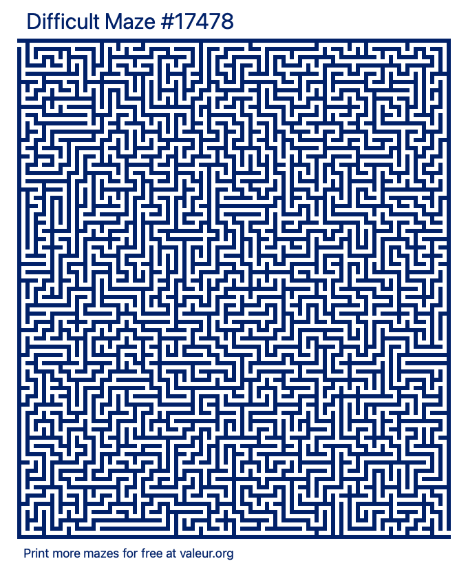 Free Printable Difficult Maze number 17478