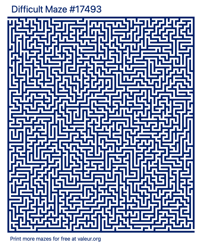 Free Printable Difficult Maze number 17493