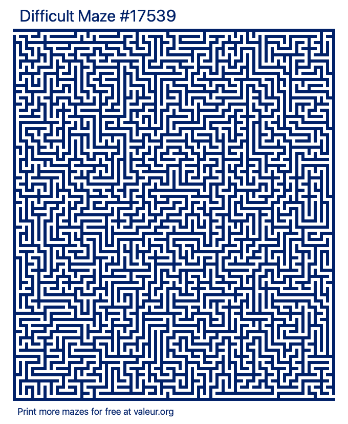 Free Printable Difficult Maze number 17539