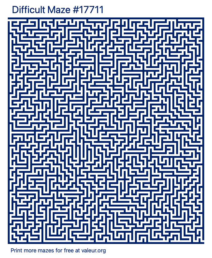 Free Printable Difficult Maze number 17711