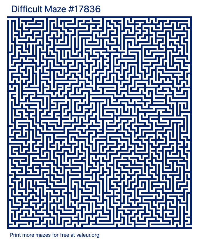 Free Printable Difficult Maze number 17836