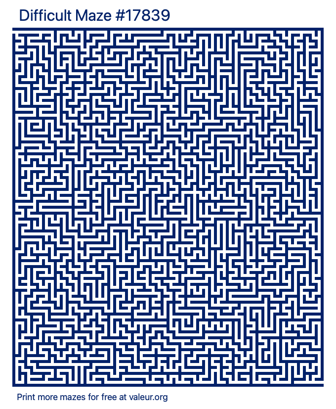 Free Printable Difficult Maze number 17839
