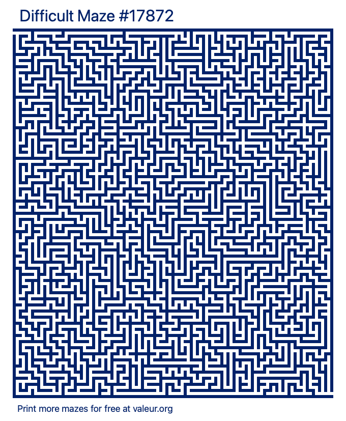 Free Printable Difficult Maze number 17872