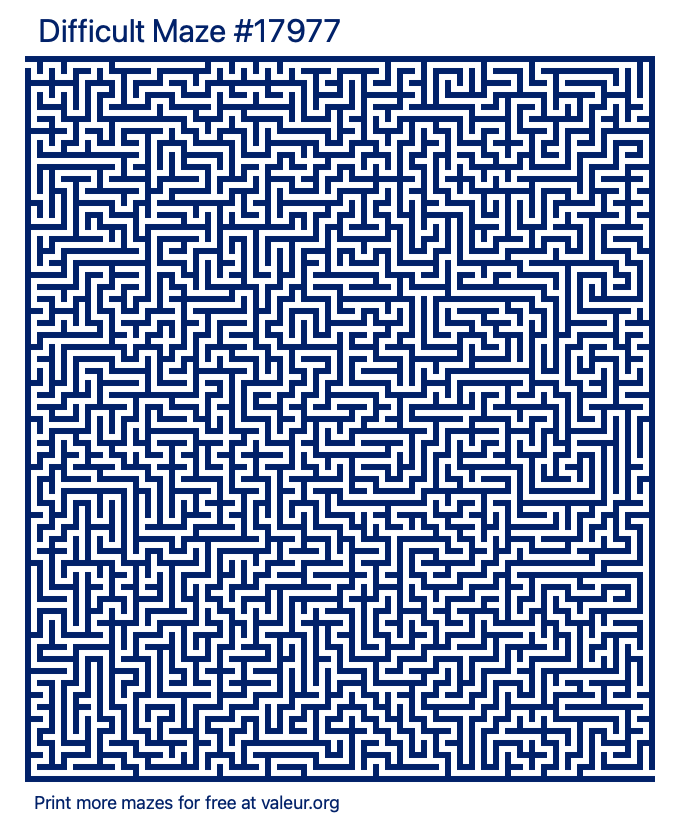 Free Printable Difficult Maze number 17977