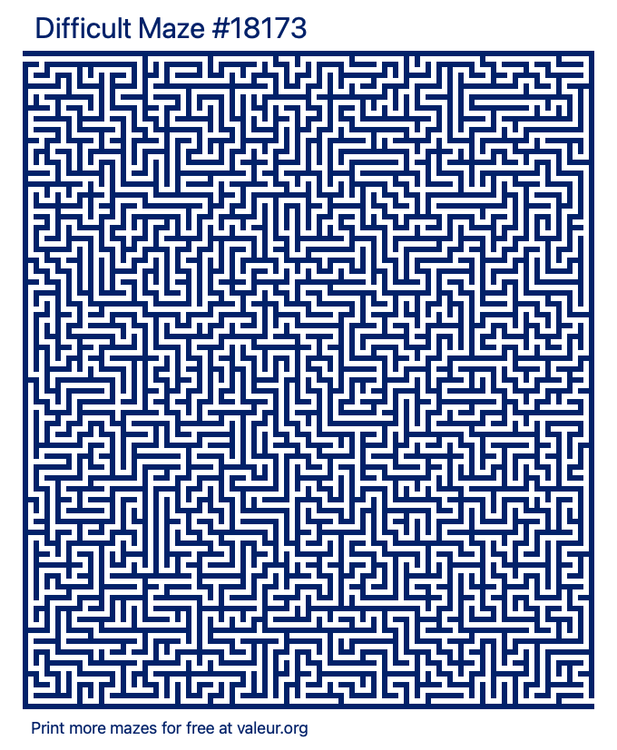 Free Printable Difficult Maze number 18173