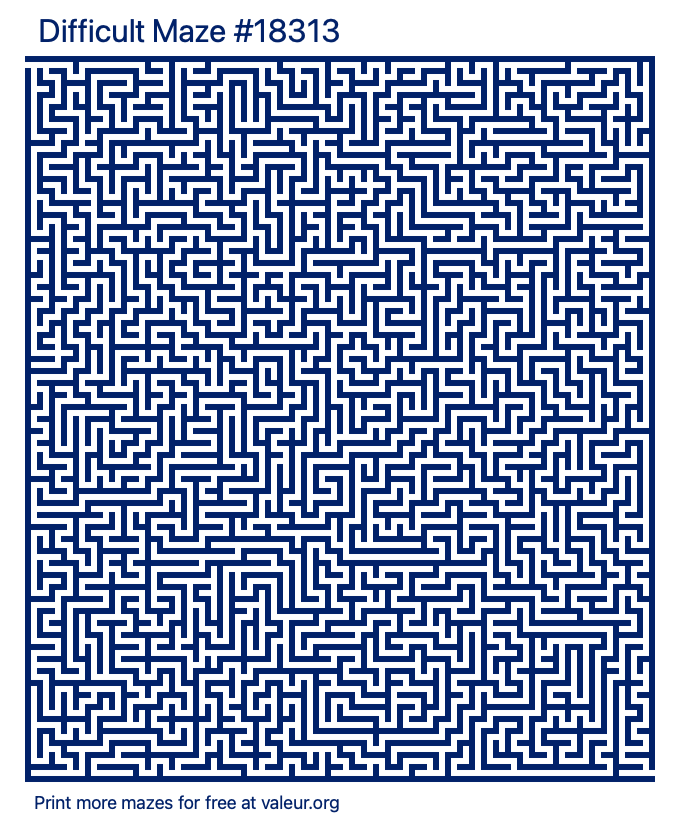 Free Printable Difficult Maze number 18313