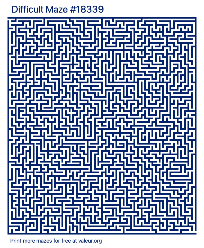 Free Printable Difficult Maze number 18339