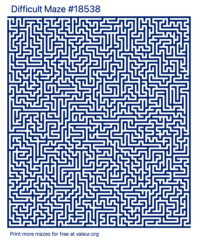 Free Printable Difficult Maze number 18538