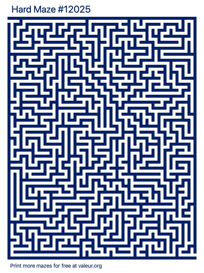 Free Printable Hard Maze number 12025