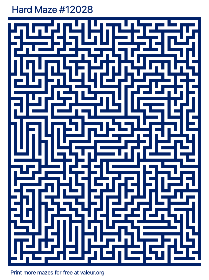 Free Printable Hard Maze number 12028