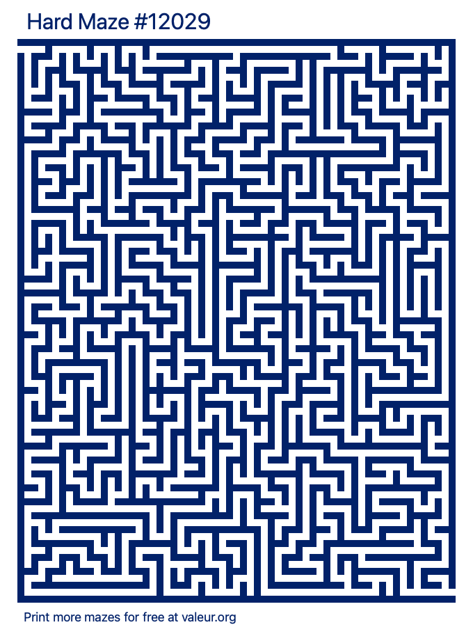 Free Printable Hard Maze number 12029