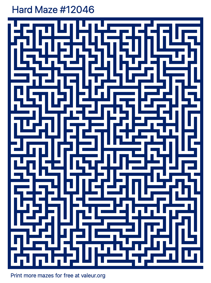 Free Printable Hard Maze number 12046