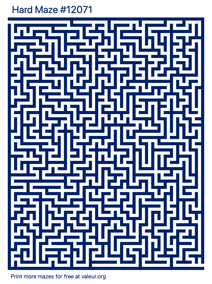 Free Printable Hard Maze number 12071