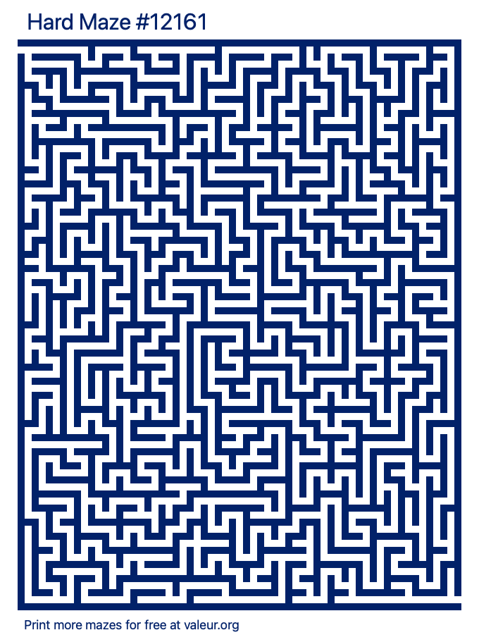 Free Printable Hard Maze number 12161