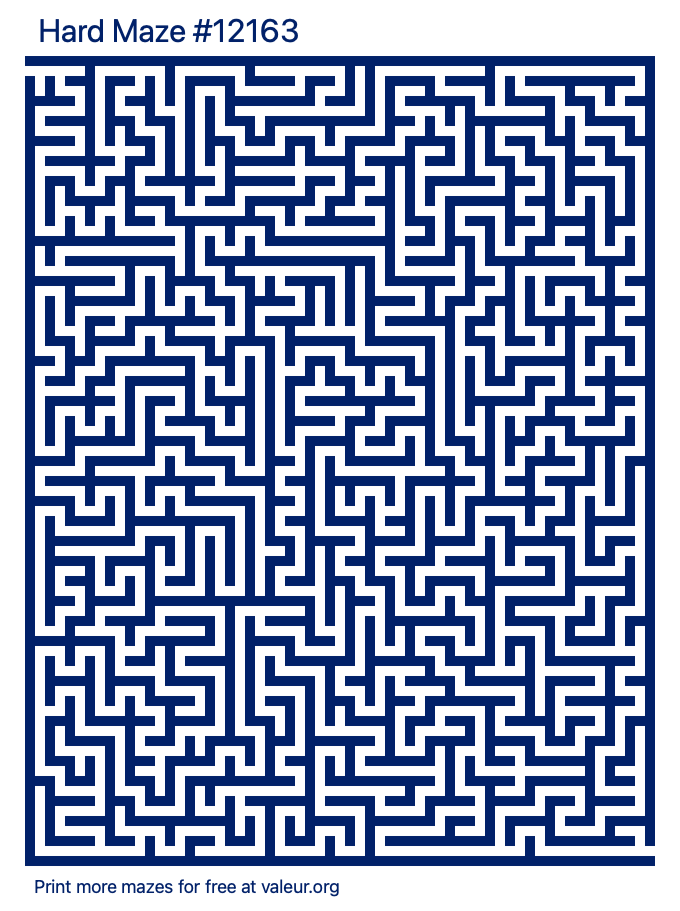 Free Printable Hard Maze number 12163