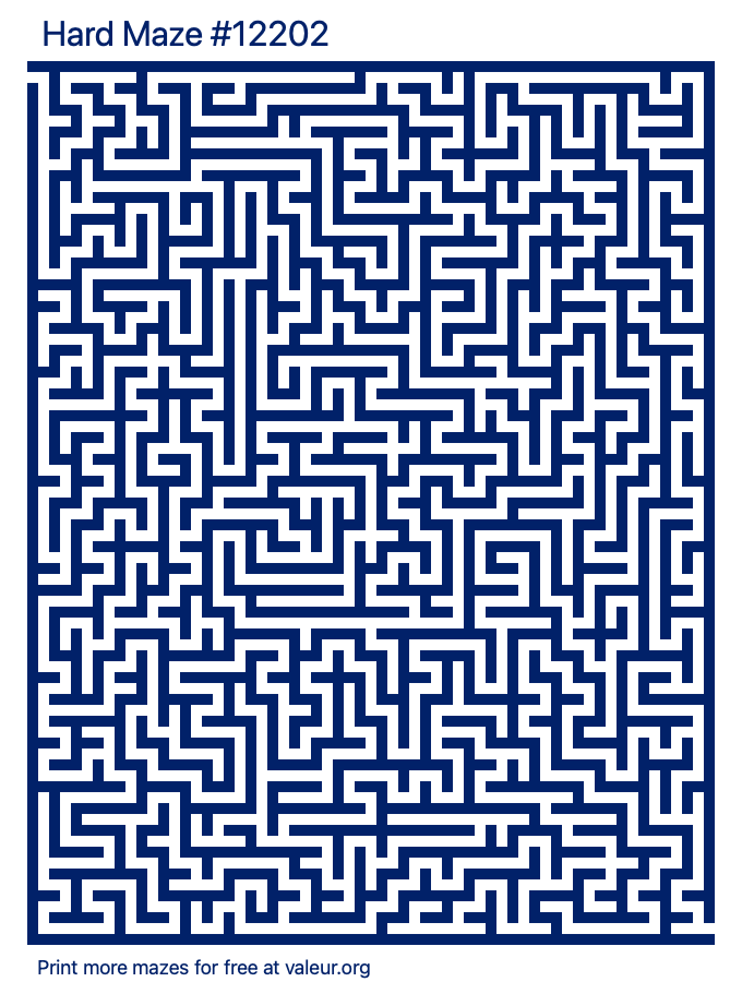 Free Printable Hard Maze number 12202