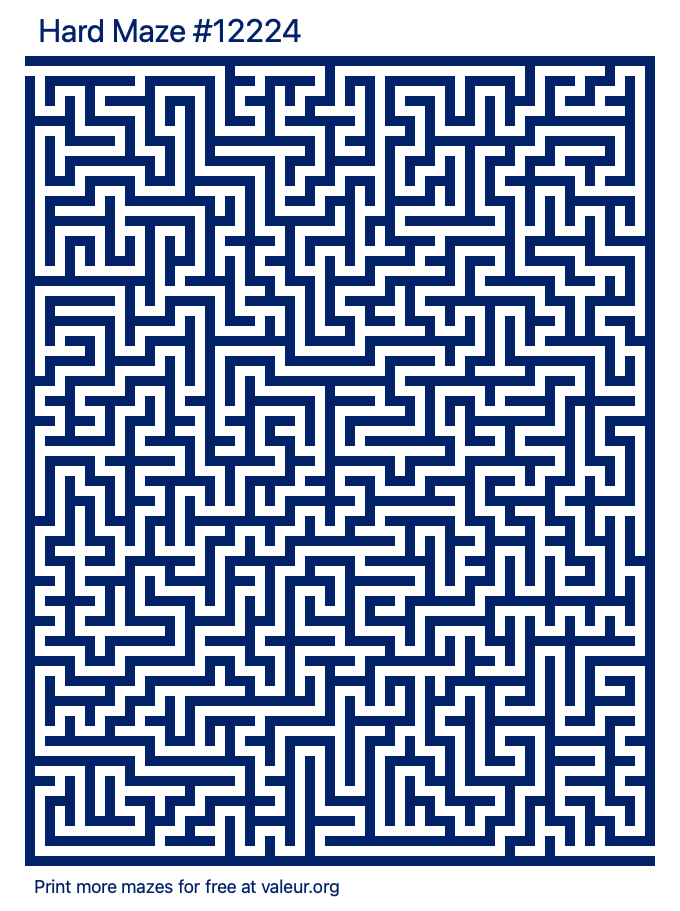 Free Printable Hard Maze number 12224